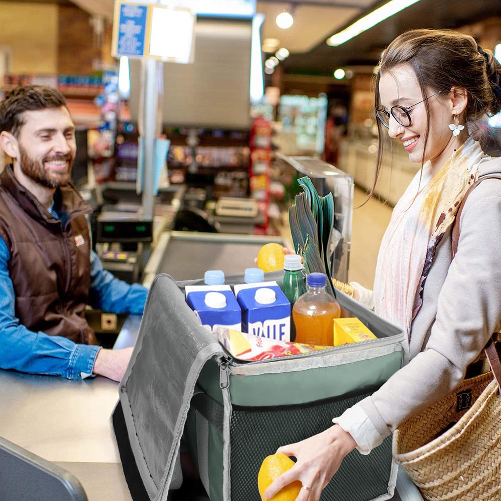 Coolist CL26LG 26 Litre Katlanabilir Termos Bez Çanta / Buzluk - . Görsel