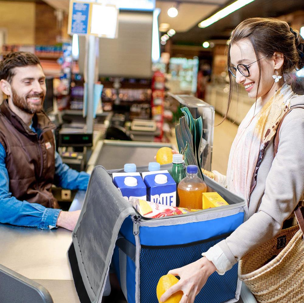 Coolist CL36B 36 Litre Katlanabilir Termos Bez Çanta / Buzluk - . Görsel