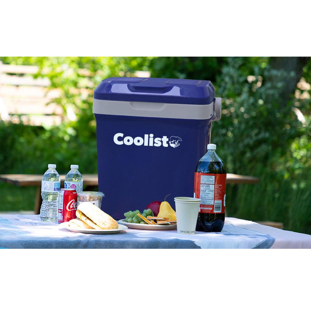 Coolist CLT18 12Volt/220Volt AC/DC 18 Litre Sıcak/Soğuk Oto Buzdolabı - . Görsel