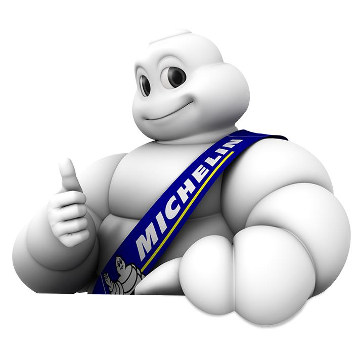 Michelin MC12209 Dijital Basınç Göstergeli Çift Pistonlu Ayak Pompası - . Görsel